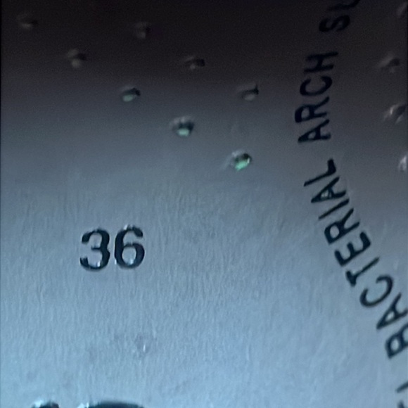 Ecco classic saddle white cognac Gore-Tex Golf Shoes - Size 36 - Picture 11 of 14